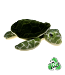 Tortuga the Turtle - Eco 